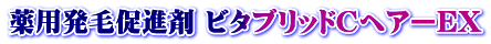 薬用発毛促進剤 ビタブリッドCヘアーEX
