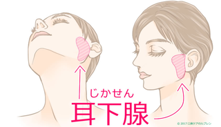 かっさ.png