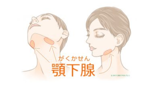 かっさ1.png